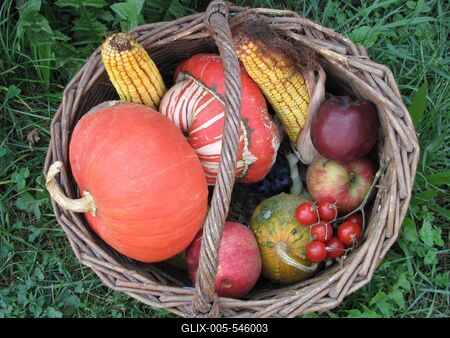 Velem (Hungary), 13 September 2016.Honesty basket in a Velem street.Becs?letkos?r a velemi utc?n.-stock-foto