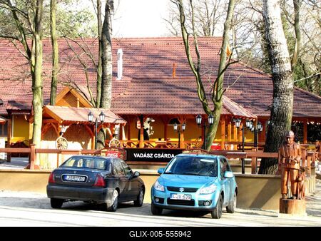 Bugyi, 2010. m?rcius 14.A bugyi vad?sz cs?rda, a vad?szkast?ly (Forster kast?ly) birtok?n.-stock-foto