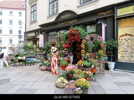 Vienna - Flower shop at Stephans Dom-stock-foto