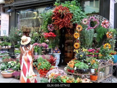 Vienna - Flower shop at Stephans Dom-stock-foto