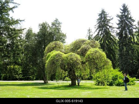 Martonv?s?r, 30 April 2017Part of the park of Brunszvik Castle.A Brunszvik kast?ly parkj?nak r?szlete.-stock-foto