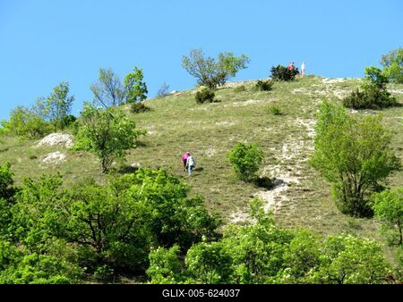 Spring on Dog Hill in Nagykovácsi-stock-foto
