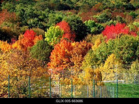 Autumn colors - Neture - Hungary-stock-foto