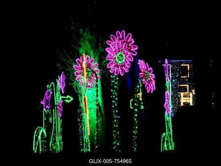 Budapest - The lights of Lumina Park on Margaret Island-stock-foto