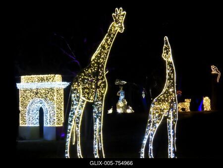 Budapest - The lights of Lumina Park in Margaret Island-stock-foto