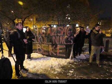 Solidarity demonstration with Venezuela - Budapest - US agression-stock-foto
