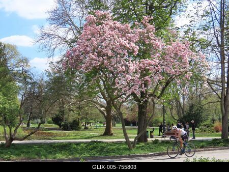 Easter on Margaret Island - Budapest - Spring - People - Nature-stock-foto
