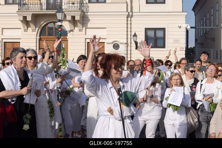 Hungarian mothers protest in Budapest-stock-foto