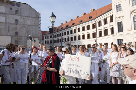 Hungarian mothers protest in Budapest-stock-foto