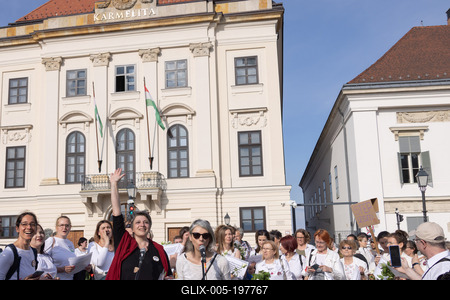 Hungarian mothers protest in Budapest-stock-foto