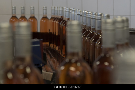 Grape harvest at Hilltop Wine House-stock-foto