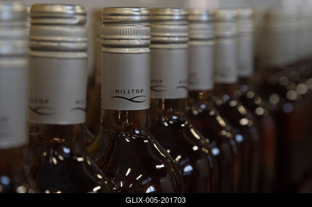 Grape harvest at Hilltop Wine House-stock-foto