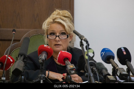 Mermaid accident trial in Budapest-stock-foto