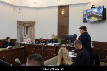 Mermaid accident trial in Budapest-stock-foto