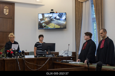 Mermaid accident trial in Budapest-stock-foto