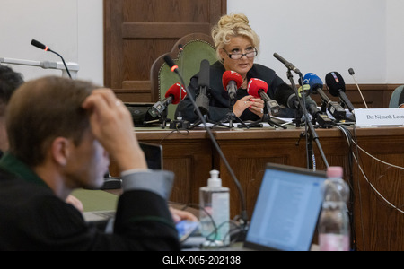 Mermaid accident trial in Budapest-stock-foto