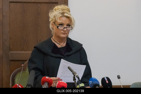 Mermaid accident trial in Budapest-stock-foto