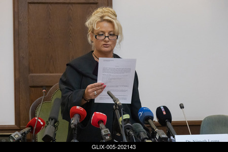 Mermaid accident trial in Budapest-stock-foto