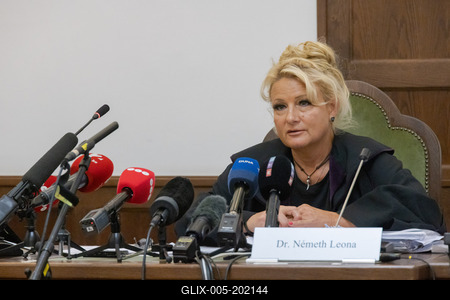 Mermaid accident trial in Budapest-stock-foto