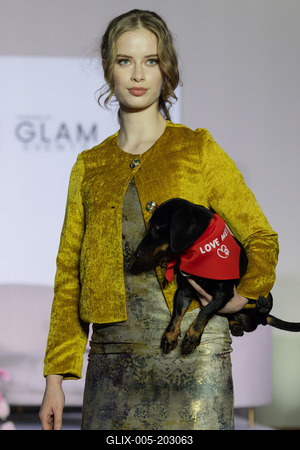 Dogs on the Catwalk in Budapest-stock-foto