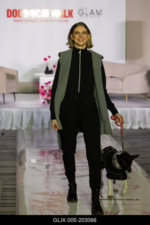 Dogs on the Catwalk in Budapest-stock-foto