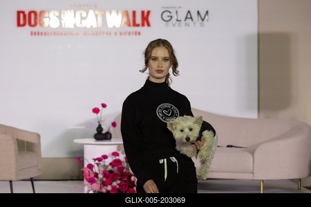 Dogs on the Catwalk in Budapest-stock-foto