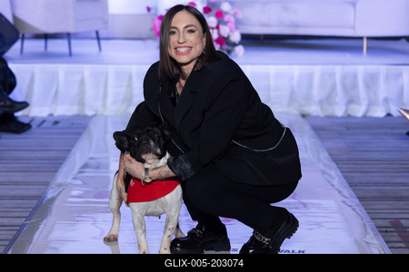 Dogs on the Catwalk in Budapest-stock-foto