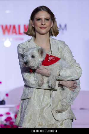 Dogs on the Catwalk in Budapest-stock-foto