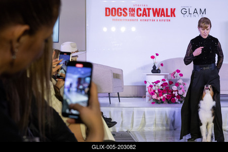 Dogs on the Catwalk in Budapest-stock-foto