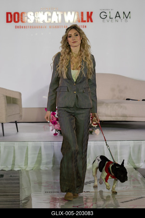 Dogs on the Catwalk in Budapest-stock-foto