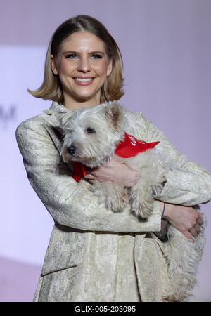 Dogs on the Catwalk in Budapest-stock-foto