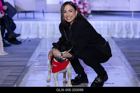 Dogs on the Catwalk in Budapest-stock-foto