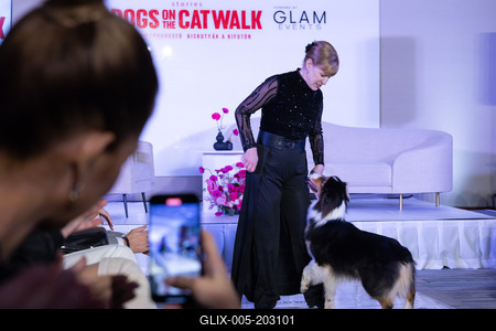 Dogs on the Catwalk in Budapest-stock-foto