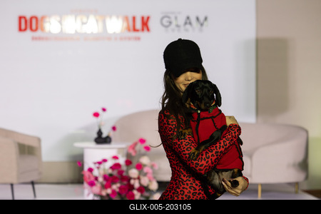 Dogs on the Catwalk in Budapest-stock-foto