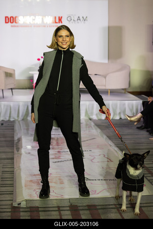 Dogs on the Catwalk in Budapest-stock-foto