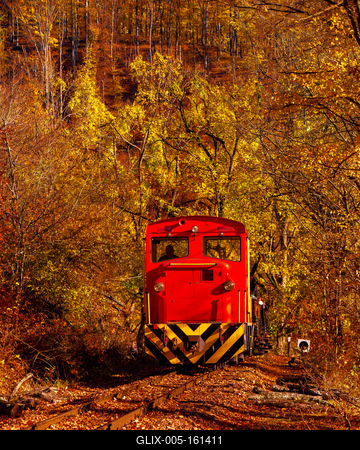Forest train, Children's train-stock-foto