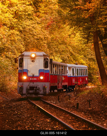 Forest train, Children's train-stock-foto