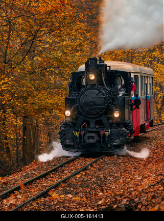 Forest train in Mtra hills.-stock-foto
