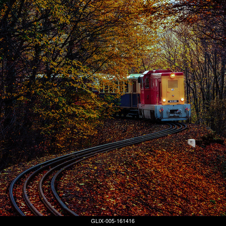 Forest train, Children's train-stock-foto