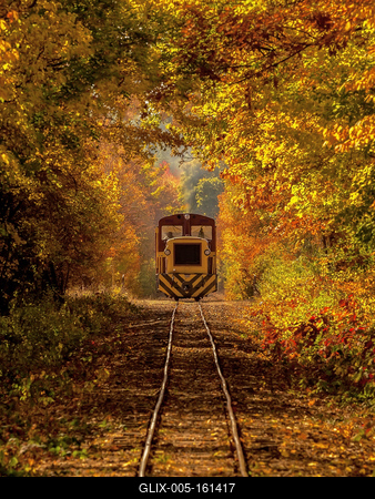 Forest train in Mtra hills.-stock-foto
