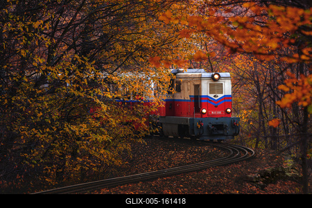 Forest train, Children's train-stock-foto