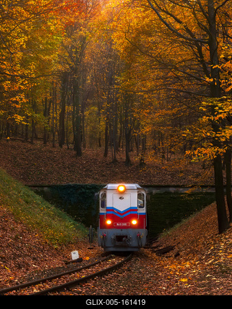 Forest train, Children's train-stock-foto