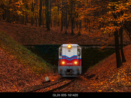 Forest train, Children's train-stock-foto