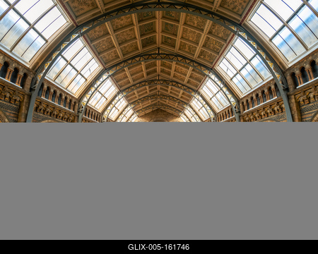 11.08.2019. London, UK. Hall of Natural historical museum.-stock-foto