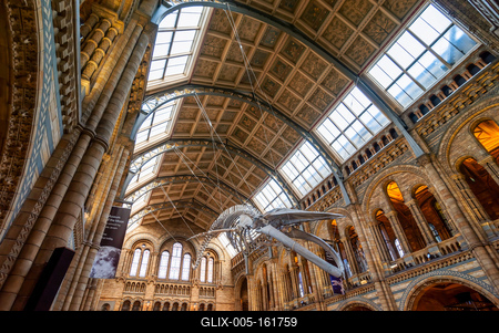 11.08.2019. London, UK. Hall of Natural historical museum.-stock-foto