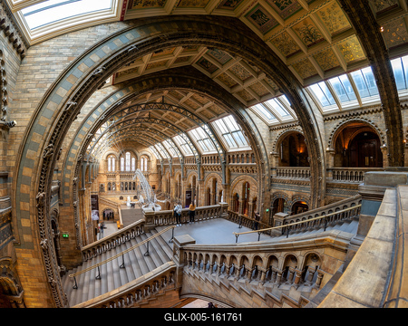 11.08.2019. London, UK. Hall of Natural historical museum.-stock-foto