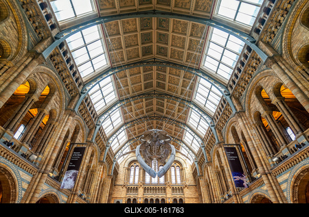 11.08.2019. London, UK. Hall of Natural historical museum.-stock-foto
