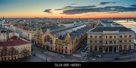 Europe Hungary Budapest great market-stock-foto