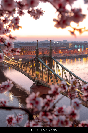 Europe Hungary Budapest Liberty bridge spring-stock-foto