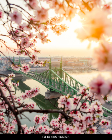 Europe Hungary Budapest Liberty bridge spring-stock-foto
